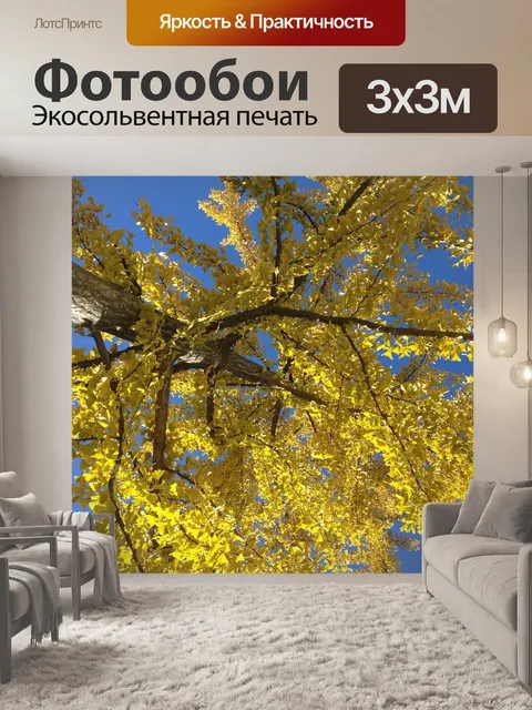 Фотообои Дерево