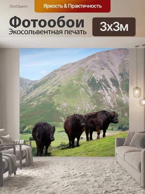 Фотообои горных коров