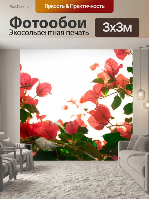 Фотообои Цветы