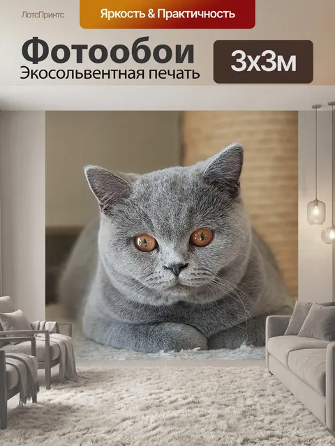 Фотообои Кошка