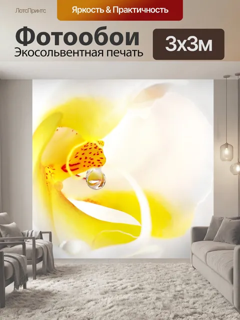 Фотообои Орхидея