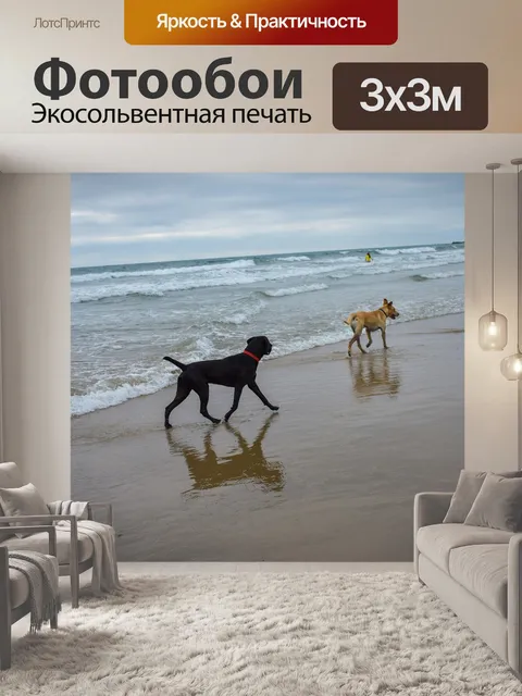Фотообои Собаки