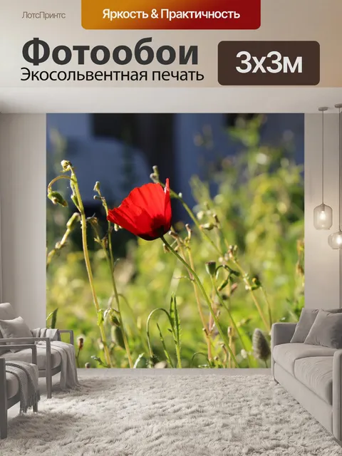 Фотообои Flower