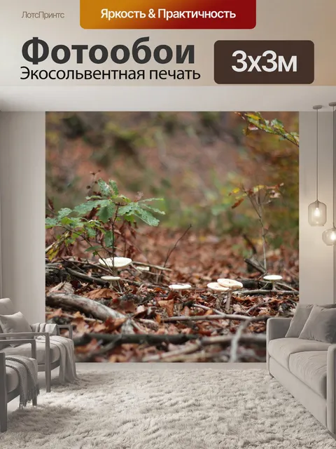 Фотообои Лес
