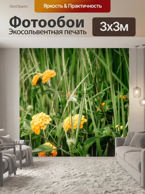 Фотообои Цветы