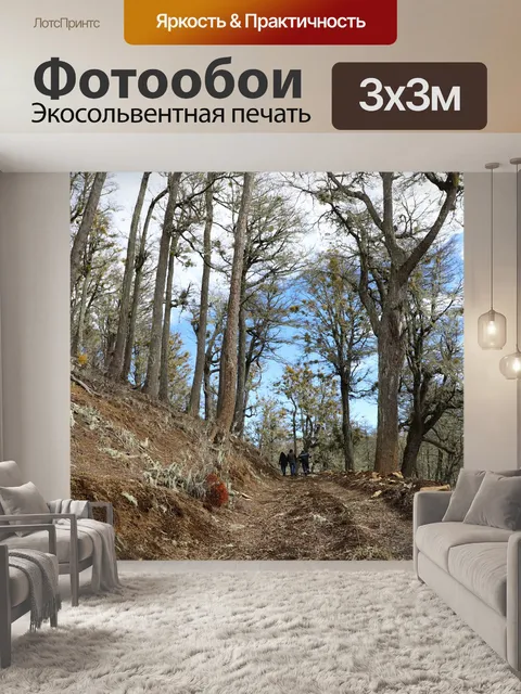 Фотообои Лес
