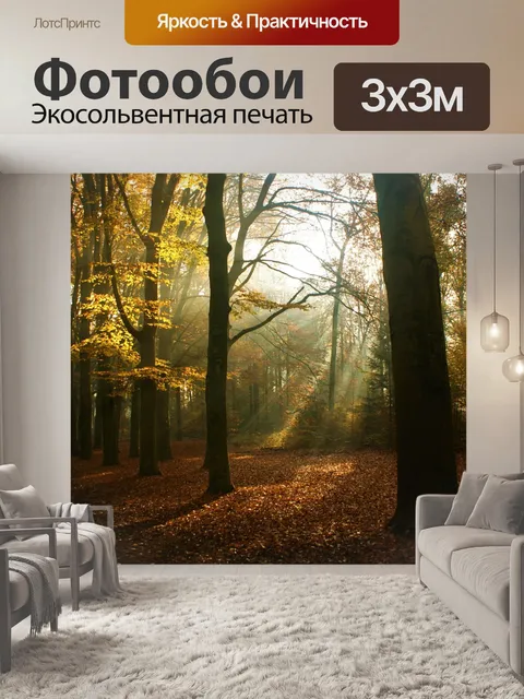 Фотообои Лес