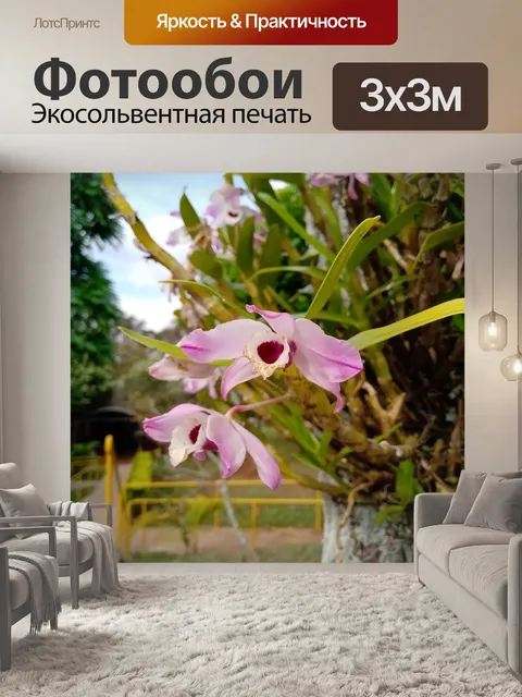 Фотообои Цветы