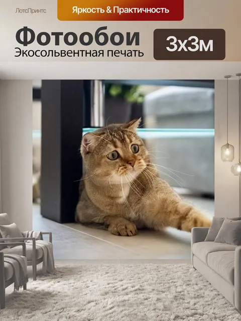 Фотообои Кот