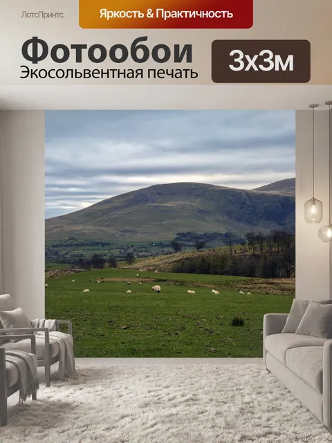 Фотообои Просмотр и удаление Skiddaw