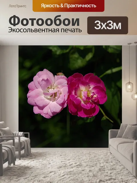Фотообои Розы