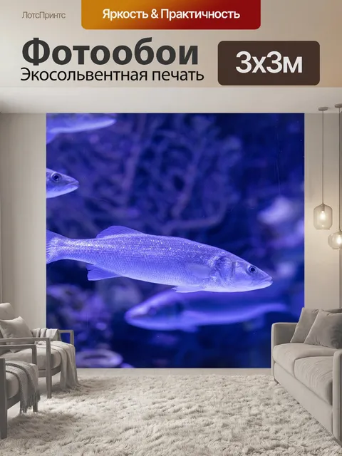 Фотообои Рыба