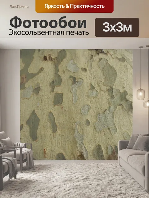 Фотообои Кора платан