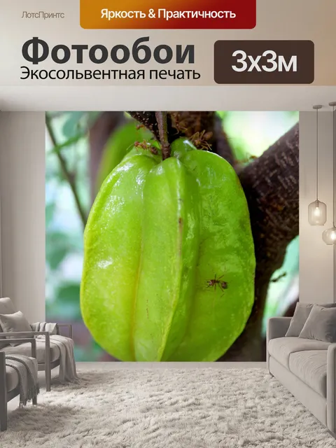 Фотообои Карамбола Звездные фрукты Бесплатное изо