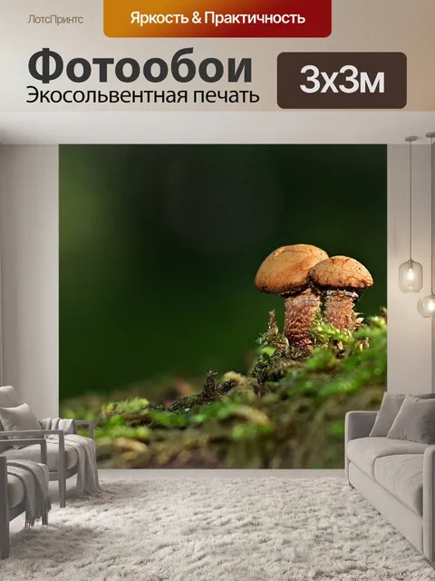 Фотообои Грибы