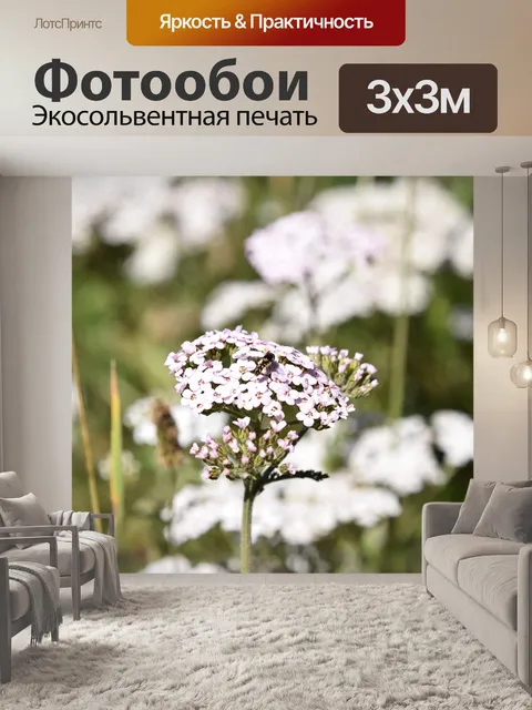 Фотообои Цветы