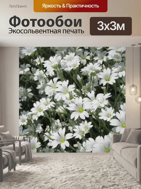 Фотообои Цветы