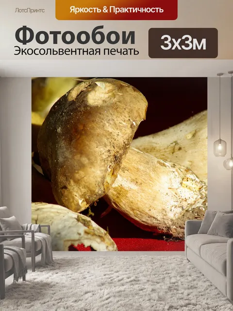 Фотообои Грибы