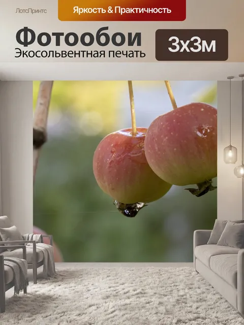 Фотообои Фрукты