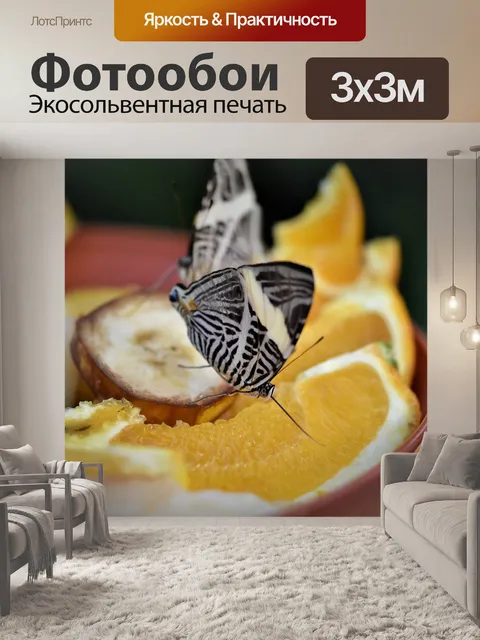 Фотообои Бабочка
