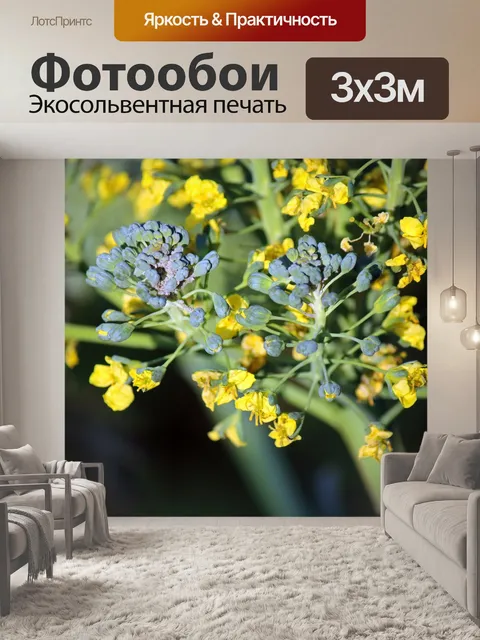 Фотообои тля в желтых цветках
