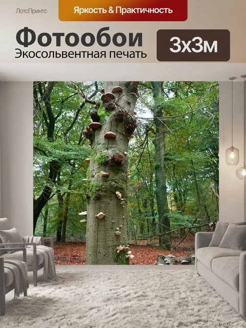 Фотообои Лес