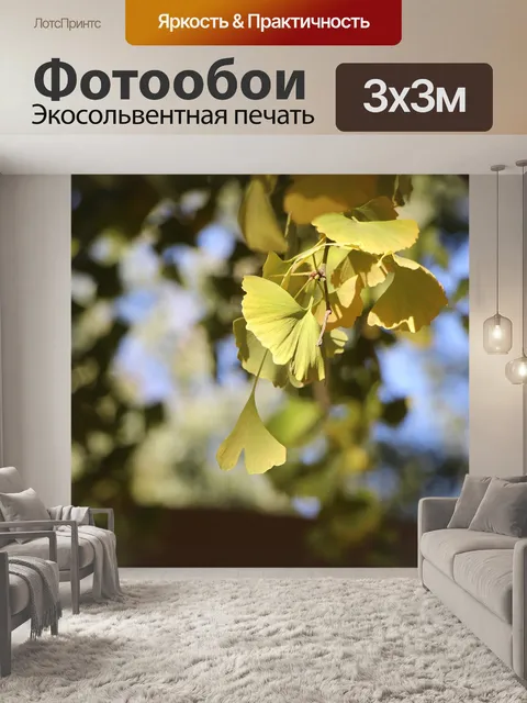 Фотообои Лист