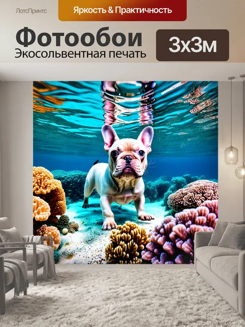Фотообои подводное изображение французского бульдога