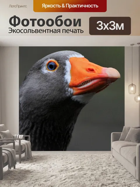 Фотообои Птица