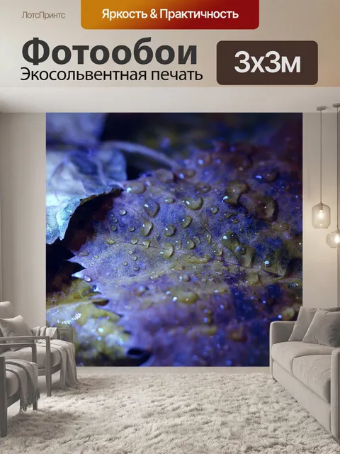 Фотообои После дождя