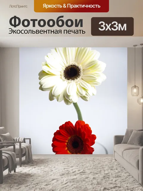 Фотообои Натюрморт