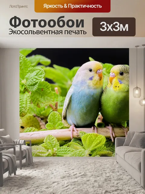Фотообои Попугаев