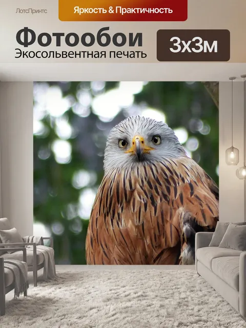 Фотообои Птица