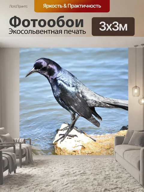 Фотообои Птицы