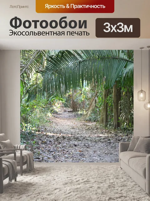 Фотообои Путь в джунглях