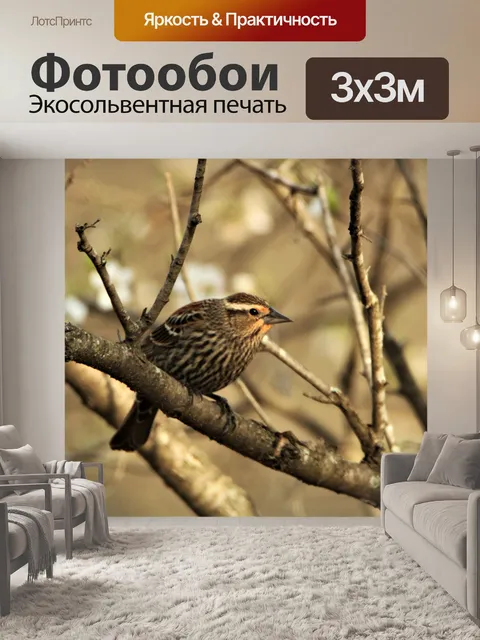 Фотообои Женский Фиолетовый Дом Финч весной