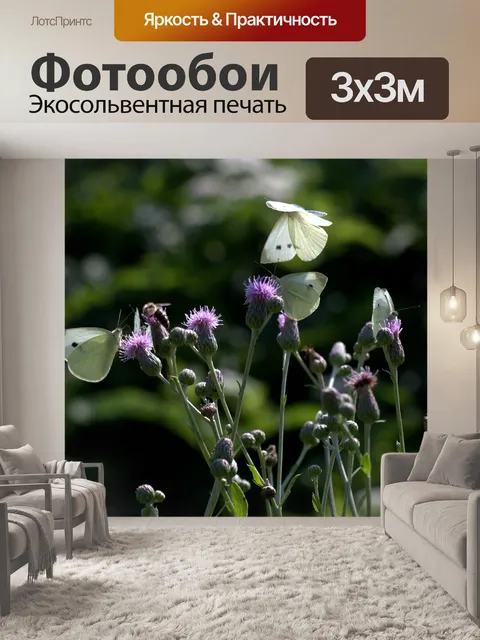 Фотообои Бабочки