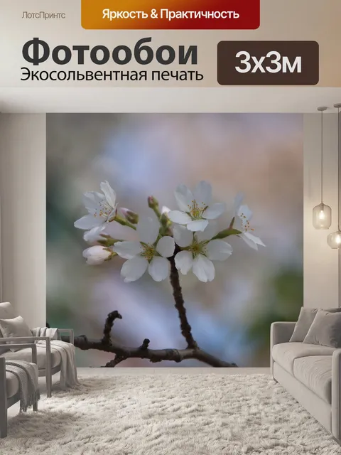 Фотообои Цветы