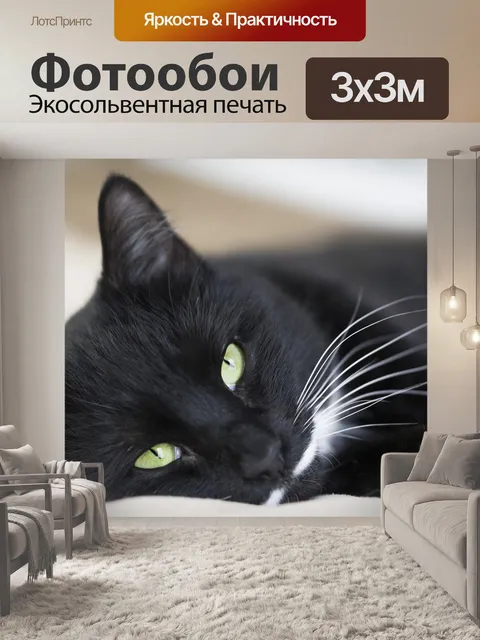 Фотообои Кошка