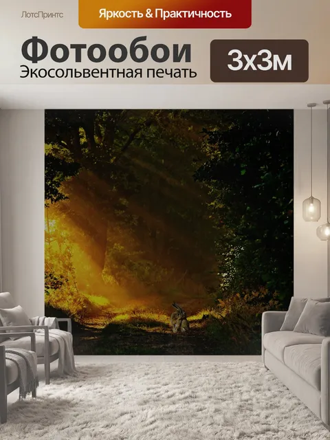 Фотообои Лесная тропа