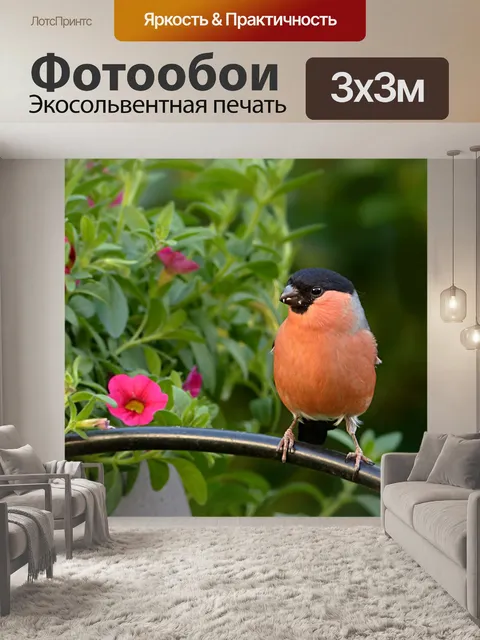 Фотообои Птица