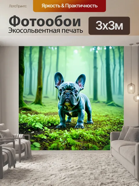 Фотообои синий французский бульдог, исследующий зелёный лес, с утренним туманом, поднимающимся над землёй