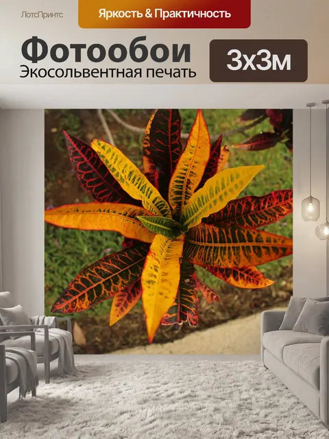 Фотообои Цветы