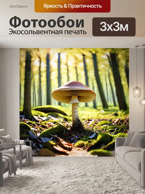 Фотообои в солнечной поляне леса величественный гриб с широкой шляпкой и тонкой ножкой