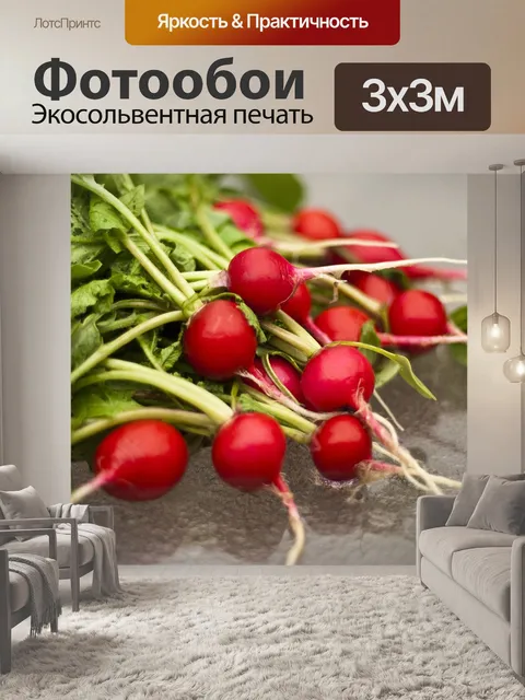 Фотообои Редис
