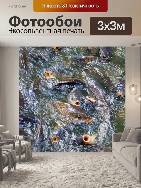 Фотообои много рыбы в воде