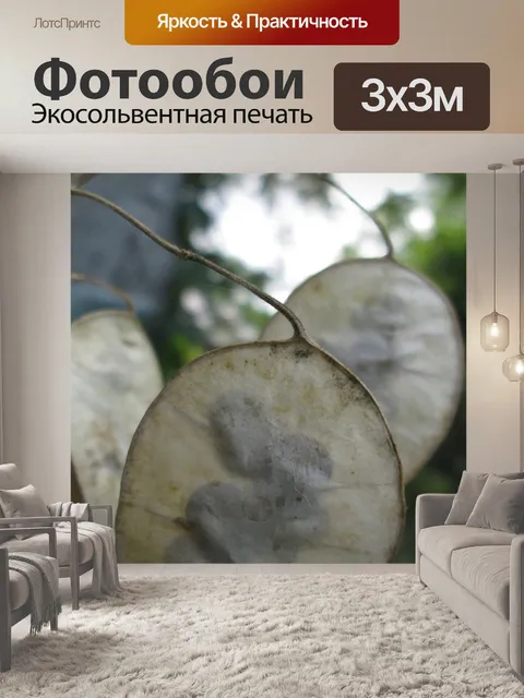 Фотообои Листья