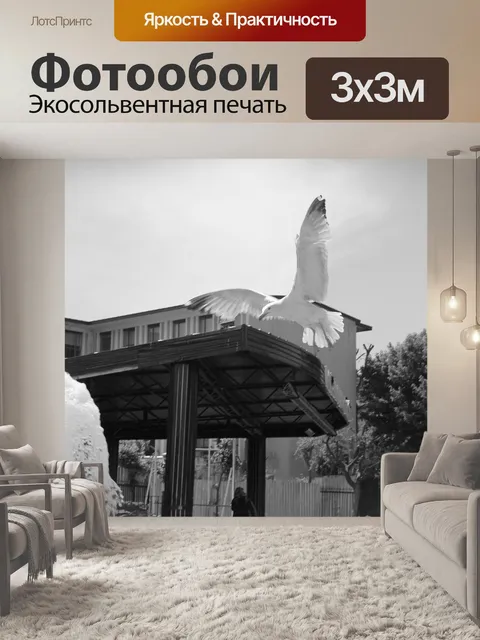 Фотообои Черно-белый
