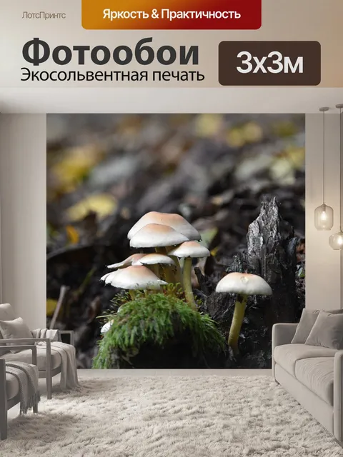 Фотообои Лес