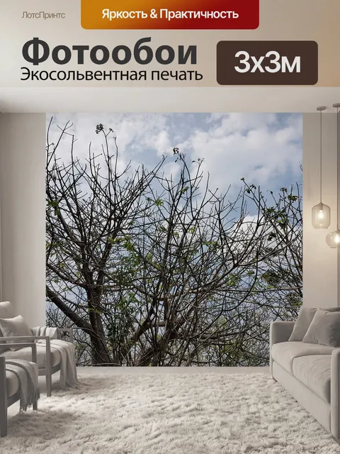 Фотообои Дерево